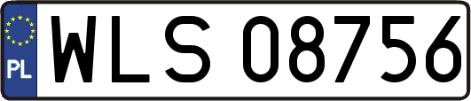 WLS08756