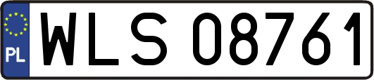 WLS08761