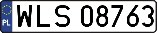 WLS08763