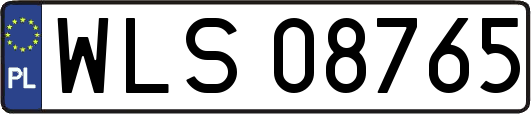 WLS08765
