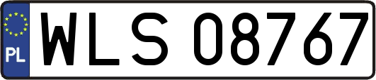 WLS08767