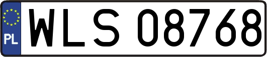WLS08768