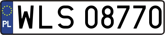 WLS08770