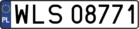 WLS08771