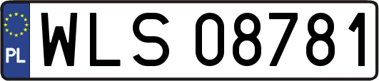 WLS08781
