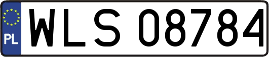 WLS08784