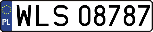 WLS08787