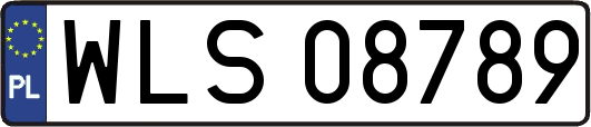 WLS08789