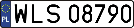 WLS08790
