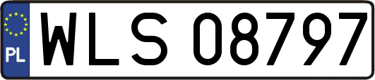 WLS08797