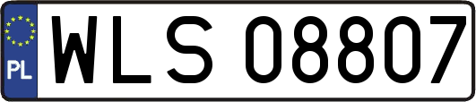 WLS08807