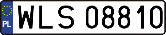 WLS08810