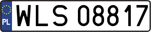 WLS08817