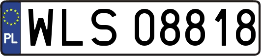 WLS08818