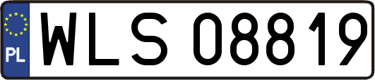 WLS08819