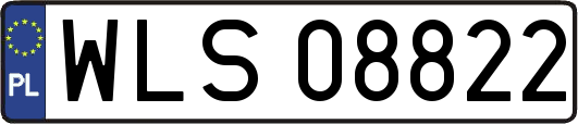 WLS08822