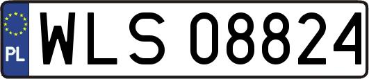 WLS08824