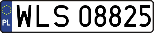 WLS08825