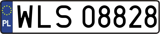WLS08828