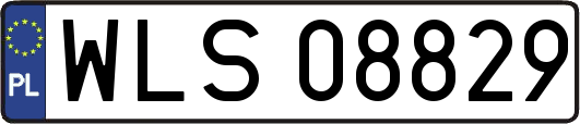 WLS08829