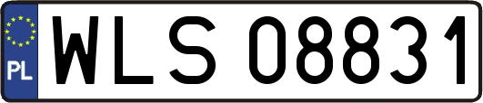 WLS08831