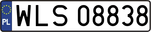 WLS08838
