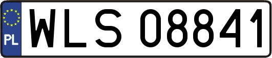 WLS08841