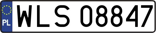 WLS08847