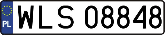 WLS08848