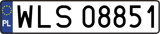 WLS08851