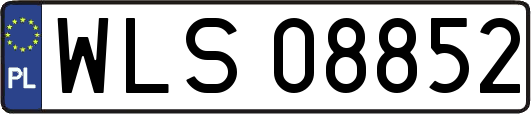 WLS08852