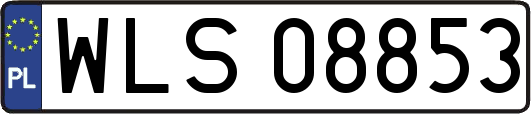 WLS08853