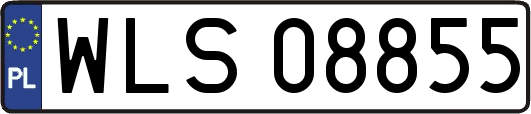 WLS08855