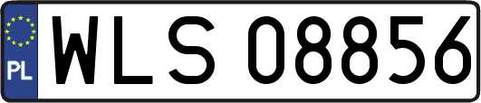 WLS08856