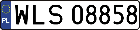 WLS08858