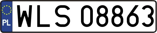 WLS08863