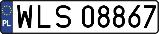 WLS08867