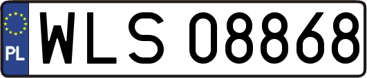 WLS08868