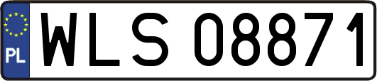 WLS08871