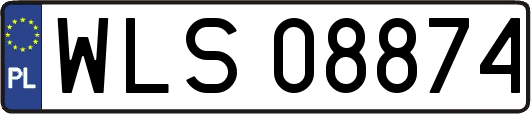 WLS08874