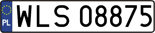 WLS08875