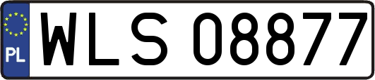 WLS08877