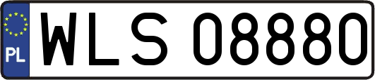 WLS08880