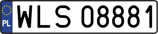 WLS08881