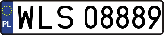 WLS08889