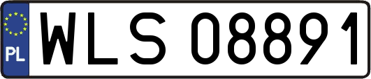 WLS08891