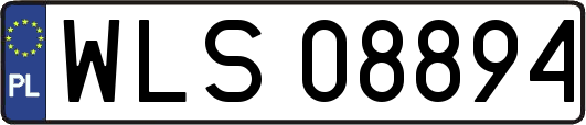 WLS08894