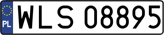 WLS08895