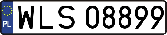 WLS08899