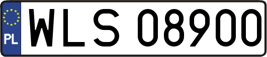 WLS08900